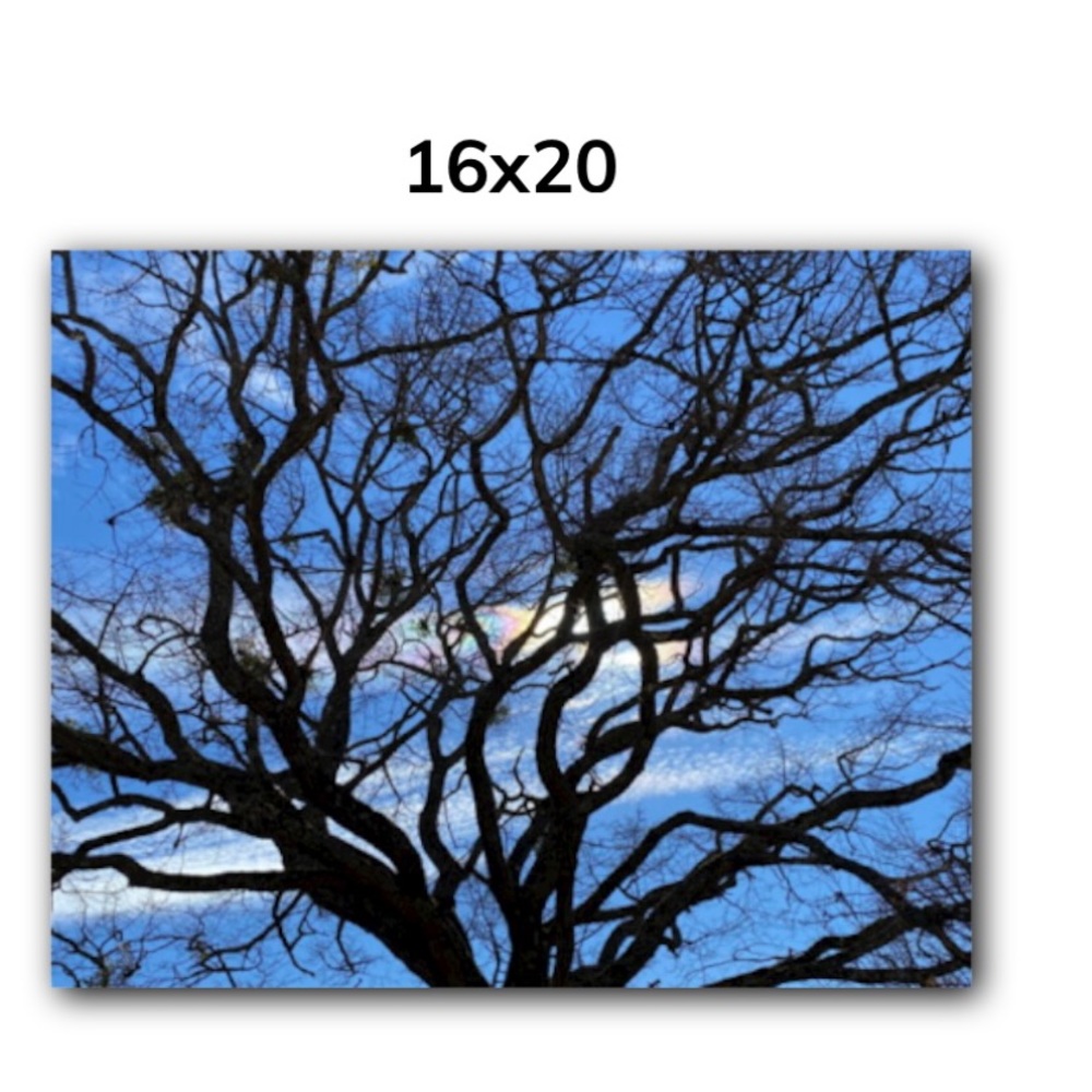 Original Photo 16 x20 Canvas print